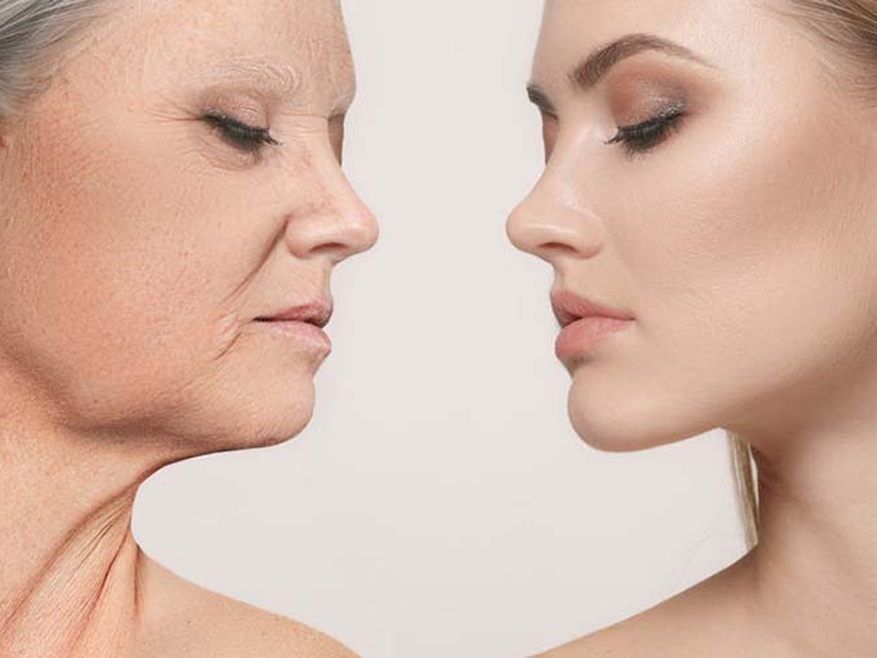 bo-doi-ngua-lao-hoa-omuse-tu-han-quoc-chia-khoa-duong-da-tuoi-tre