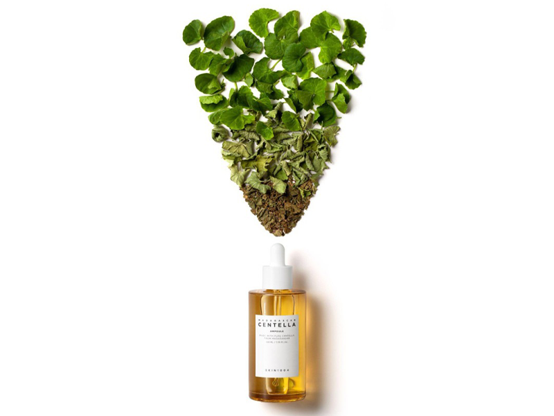 chua-lanh-lan-da-voi-rau-ma-madagascar